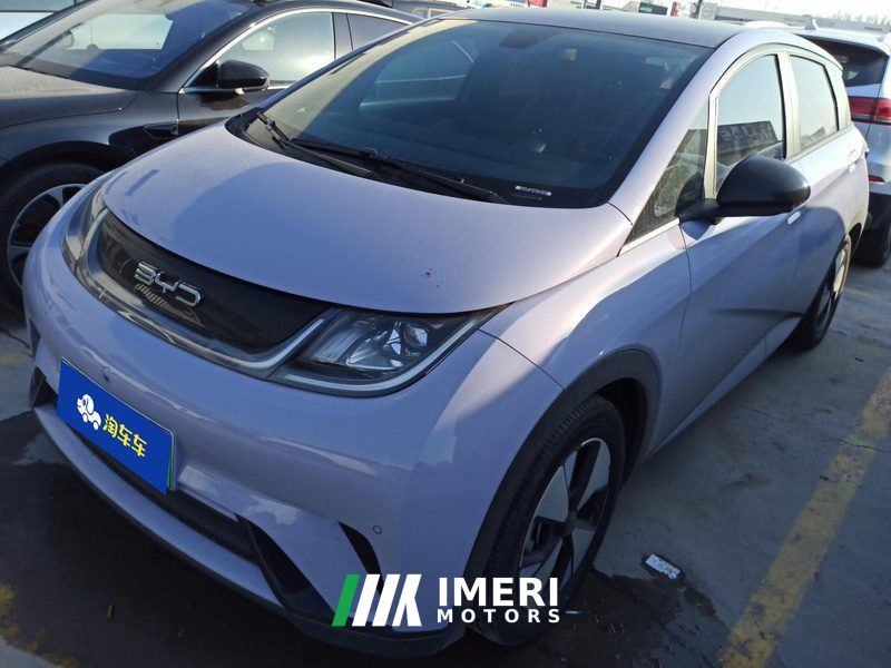 BYD Dolphin 420km Stylish Edition - ავტომობილი ჩინეთიდან