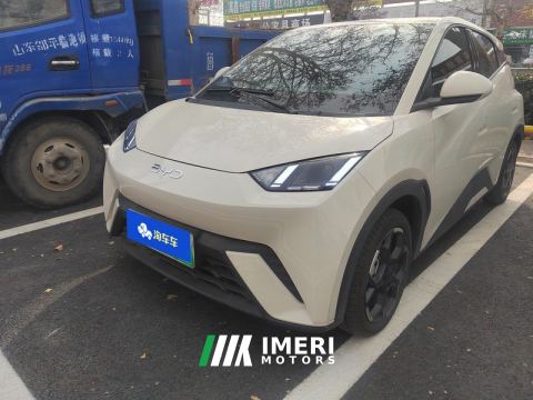 2025 BYD Seagull 405km Flying Edition - car from China