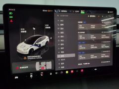 Tesla Model 3 556km Rear-Wheel Drive Edition - ფოტო 20