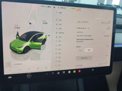 Tesla Model Y 554km Rear-Wheel Drive Edition - ფოტო 20