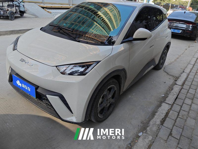 BYD Seagull 305km Free Version - ავტომობილი ჩინეთიდან
