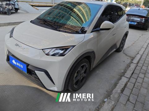 2023 BYD Seagull 305km Free Version - автомобиль из Китая