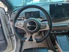 BYD Seagull 305km Free Version - ფოტო 18