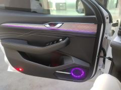 Geely Xingui Xingrui 2.0T Luxury Edition - photo 12