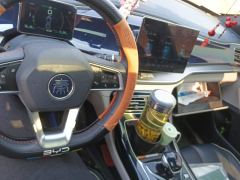 BYD Qin PLUS DM-i 55km Prestigious Edition - ფოტო 16
