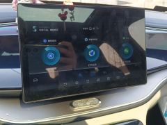 BYD Qin PLUS DM-i 55km Prestigious Edition - ფოტო 17