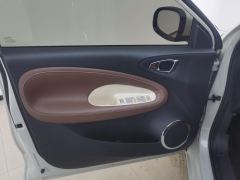Wuling Bingo Binguo 333km Joy Edition - ფოტო 12