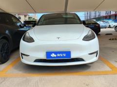 Tesla Model Y 615km Performance High-Performance AWD Version - фото 3