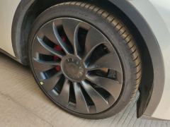 Tesla Model Y 615km Performance High-Performance AWD Version - фото 6