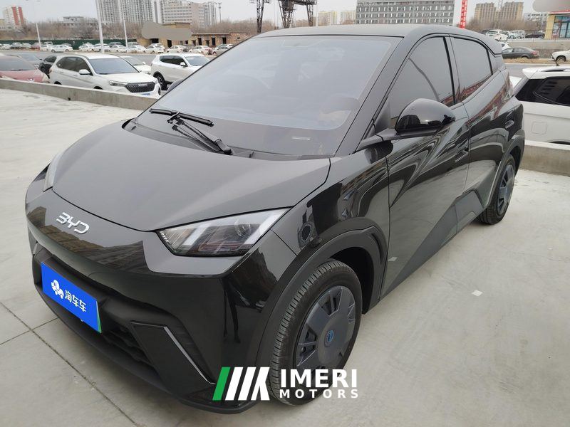 BYD Seagull Honor Edition 305km Vitality Edition