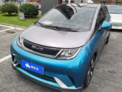 BYD Dolphin 401km Knight Edition - photo 1