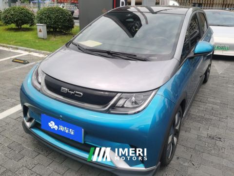 2021 BYD Dolphin 401km Knight Edition