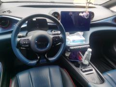 BYD Dolphin 401km Knight Edition - photo 16
