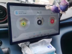 BYD Dolphin 401km Knight Edition - photo 17