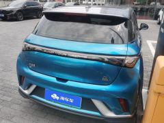 BYD Dolphin 401km Knight Edition - photo 2