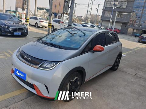 2021 BYD Dolphin 405km Stylish Edition - ავტომობილი ჩინეთიდან