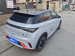 BYD Dolphin 405km Stylish Edition - ფოტო 2