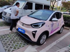 Chery Ant 321km Edition - ფოტო 1