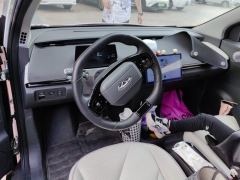 Chery Ant 321km Edition - ფოტო 16