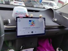 Chery Ant 321km Edition - ფოტო 17