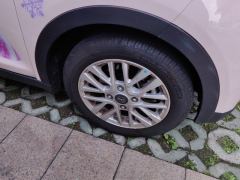 Chery Ant 321km Edition - ფოტო 6