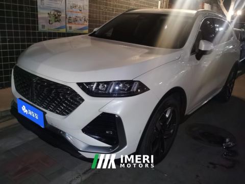 2022 Great Wall Wei brand latte 1.5T DHT