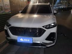 Great Wall Wei brand latte 1.5T DHT - photo 3