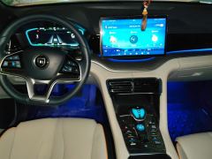 BYD Song PLUS DM-i 1.5L 2WD Flagship PLUS - ფოტო 16