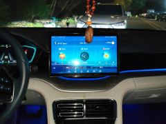 BYD Song PLUS DM-i 1.5L 2WD Flagship PLUS - ფოტო 17