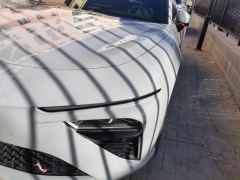 Neta S EV Edition 510km 510 Edition - ფოტო 4