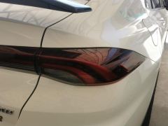 GAC Chuanqi Shadow Leopard Shadow Leopard R 400T Automatic Pro Version - photo 5
