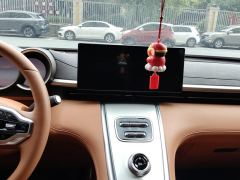 Ora Lightning Cat 555km Premium Edition - ფოტო 17