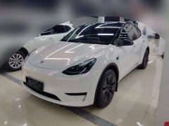Tesla Model Y 554km Rear-Wheel Drive Edition - ფოტო 1