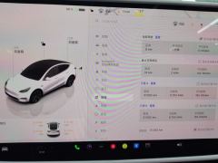 Tesla Model Y 554km Rear-Wheel Drive Edition - ფოტო 20