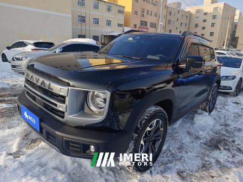 2024 Haval Great Wall Big Dog Great Wall Dog 2.0T 4WD Chinese Garden Dog Edition - автомобиль из Китая