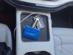 Chery eQ7 512km Pro - photo 19