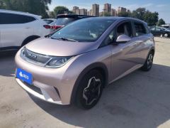 BYD Dolphin 405km Stylish Edition - ფოტო 1