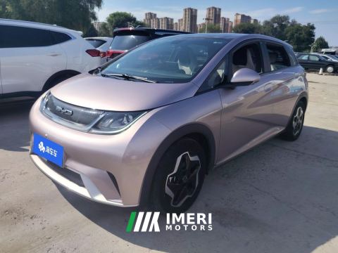 2021 BYD Dolphin 405km Stylish Edition - ავტომობილი ჩინეთიდან