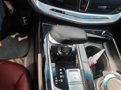 Geely Borui 1.8T Edition - photo 19