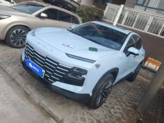Jetour Dasheng i-DM 1.5T 80km Lightning 02 - ფოტო 1