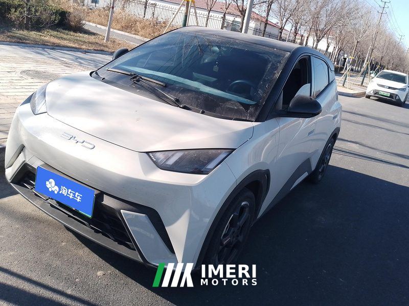 BYD Seagull 305km Free Version - ავტომობილი ჩინეთიდან