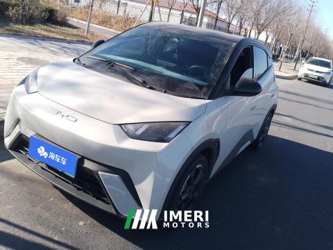 2023 BYD Seagull 305km Free Version - car from China