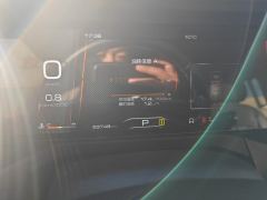 Tank 300 Off-Road Edition 2.0T Challenger - ფოტო 14