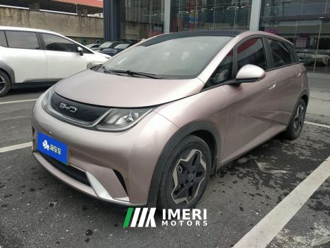 2021 BYD Dolphin 405km Stylish Edition - car from China