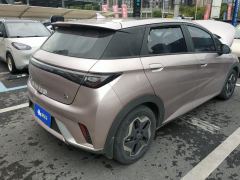 BYD Dolphin 405km Stylish Edition - ფოტო 2