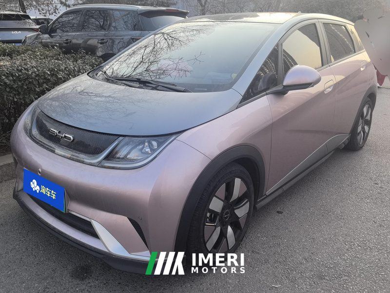 BYD Dolphin 401km Knight Edition - car from China