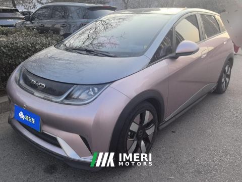 2023 BYD Dolphin 401km Knight Edition - car from China