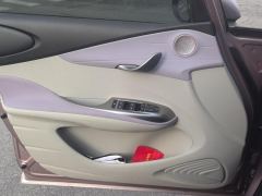 BYD Dolphin 401km Knight Edition - photo 12