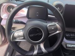 BYD Dolphin 401km Knight Edition - photo 18