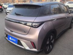 BYD Dolphin 401km Knight Edition - photo 2